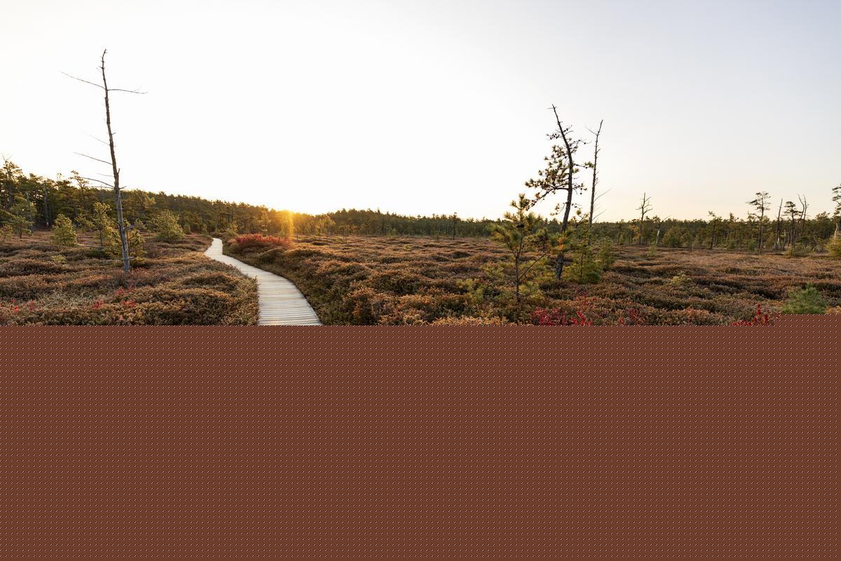 Maine’s Most Magical Places: How Many Have You Visited?