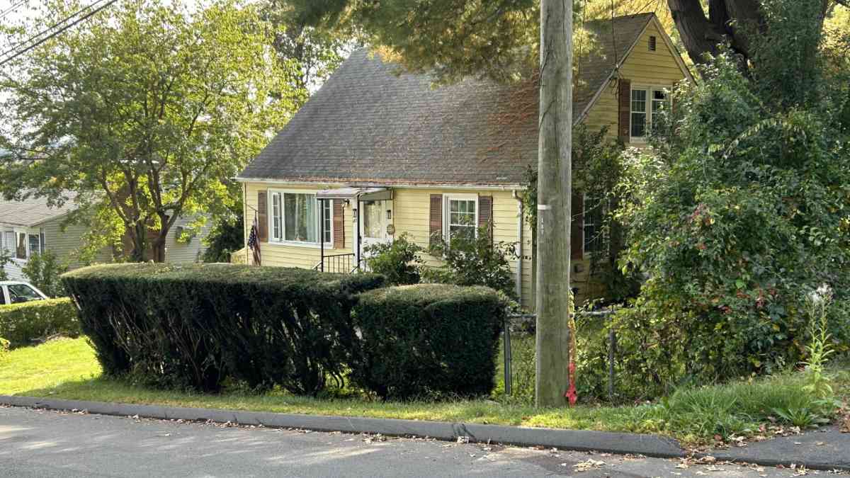 50 cats and dogs seized from Watertown home, owner charged with animal cruelty