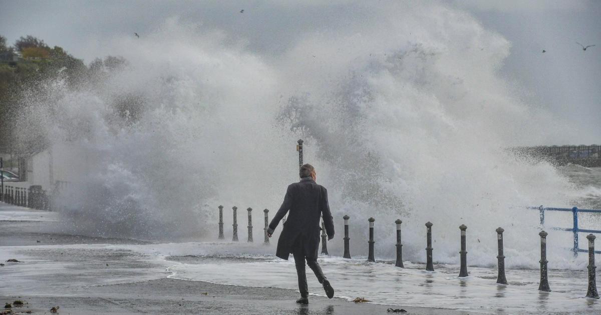 Met Office issues yellow wind warning as Storm Amy approaches Somerset