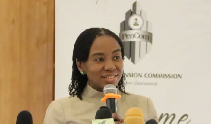 Nigeria’s Pension Growth Faces Major Funding Gap as 200,505 Accounts Sit Empty