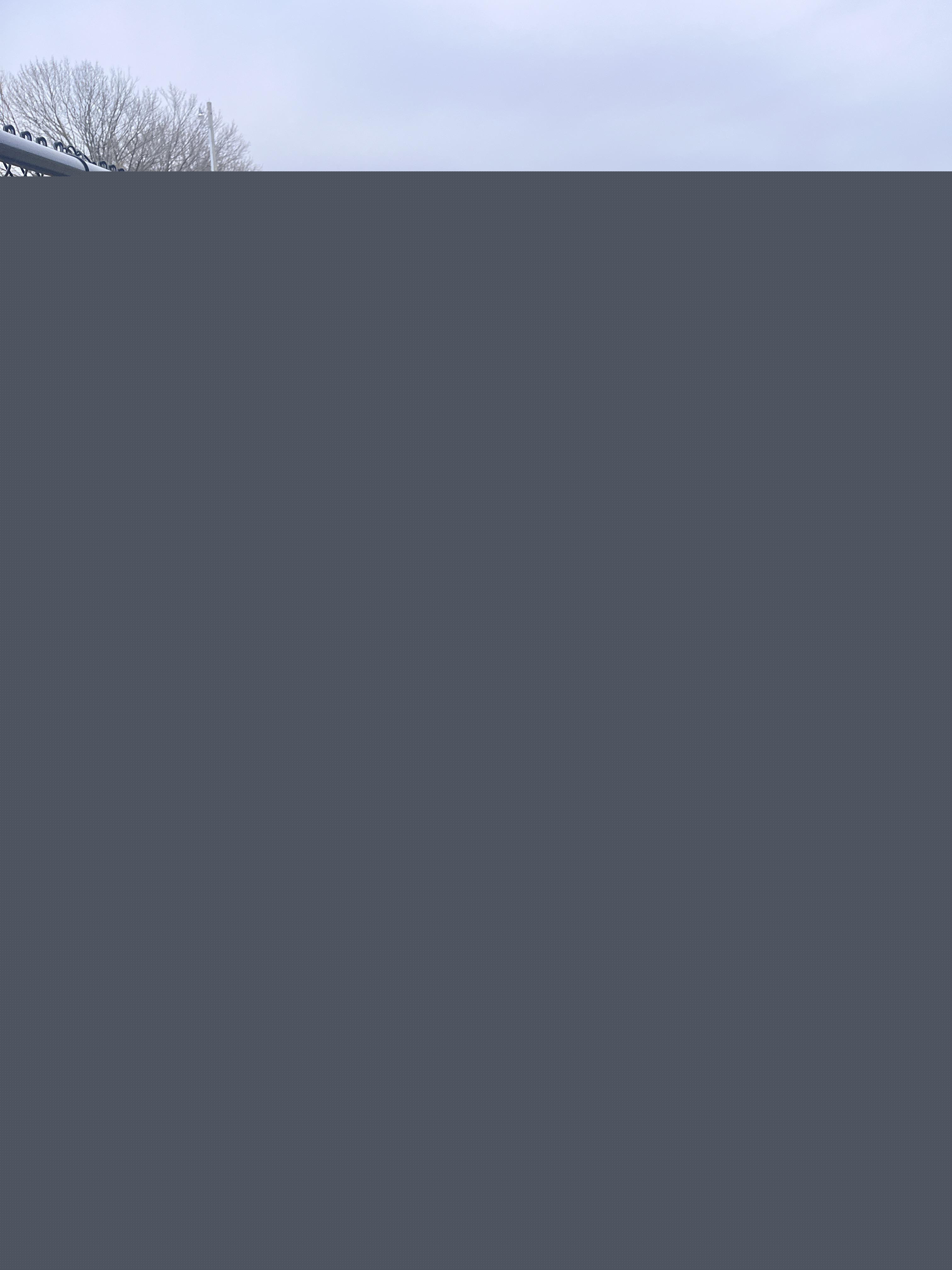 Karen - Karen tried to hit me and my dog with her car | /r/FuckYouKaren
