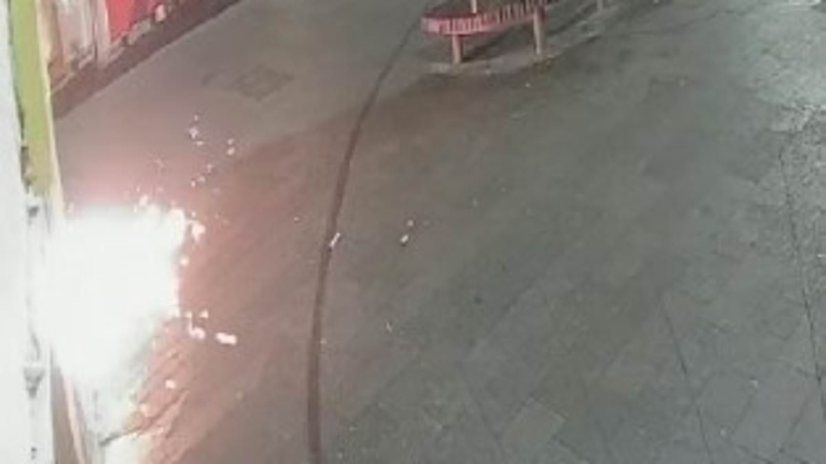 Moment pro-Palestine activist firebombs McDonald's, Starbucks and BBC offices as she faces prison for violent anti-Israel campaign in town