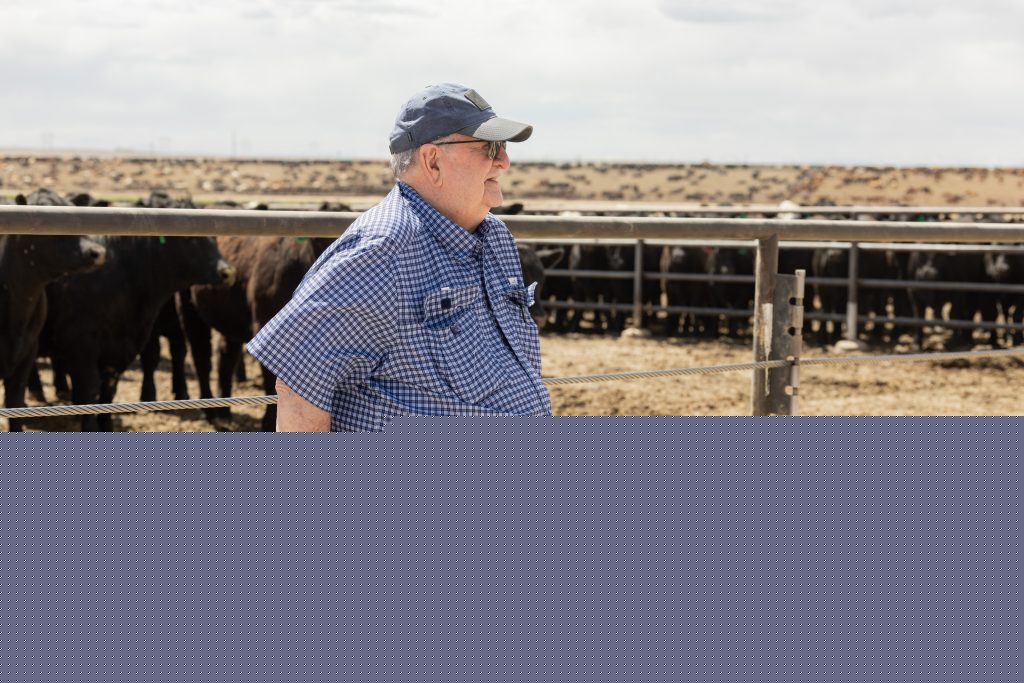 Curiosity changed the beef industry