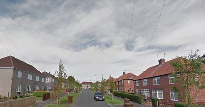 Police investigation launched after elderly woman injured in Newcastle dog attack