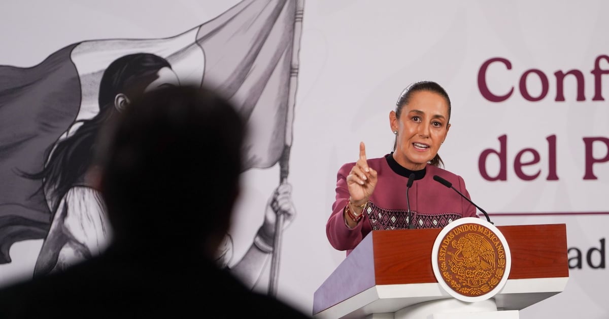 Los verdaderos lineamientos de la presidenta