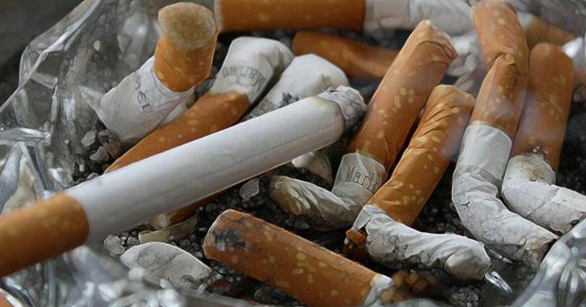 Cigarette ash in the fish and chips? This Yorkshire vet did much worse