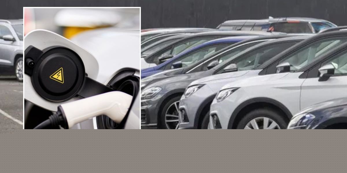 UK car industry risks EV chaos as 'not a single manufacturer believes 2030 target is on track'