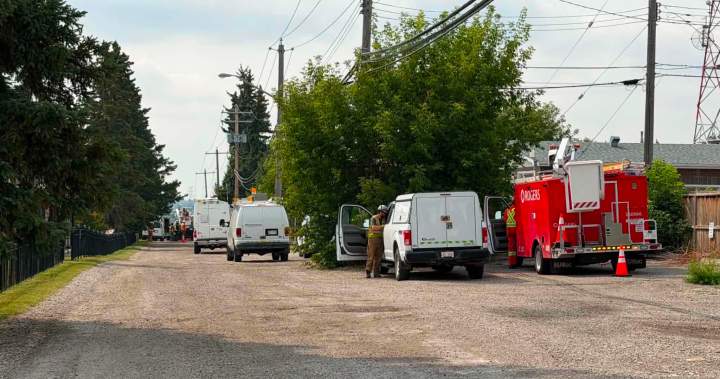 Attempted copper theft to blame for Calgary internet service outage, Rogers says