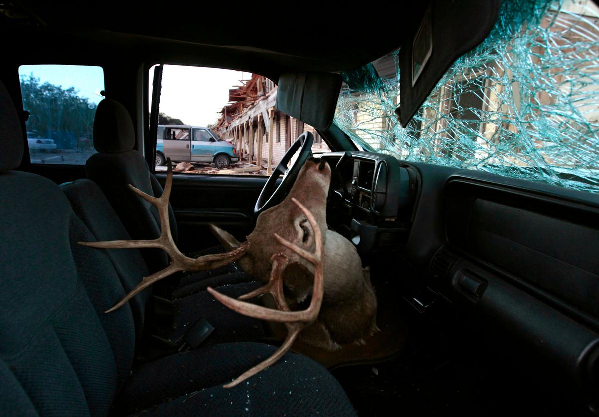 UPDATE New Data: Michigan Car – Deer Collisions By County