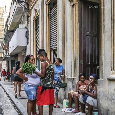 “Didn’t I Tell You to Get Spinach”, Havana – Photo of the Day