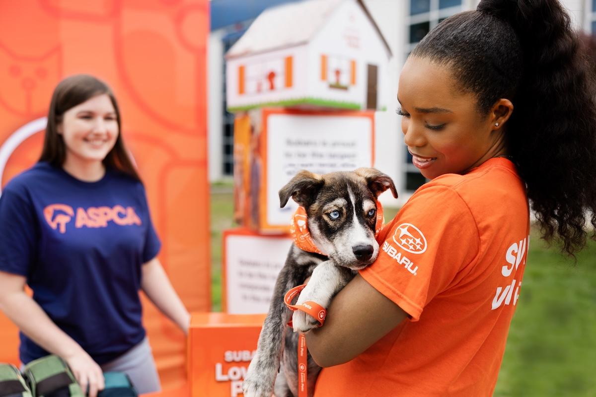 Subaru Commits $3.1 Million To Help Shelter Animals This October Through Its Subaru Loves Pets Initiative