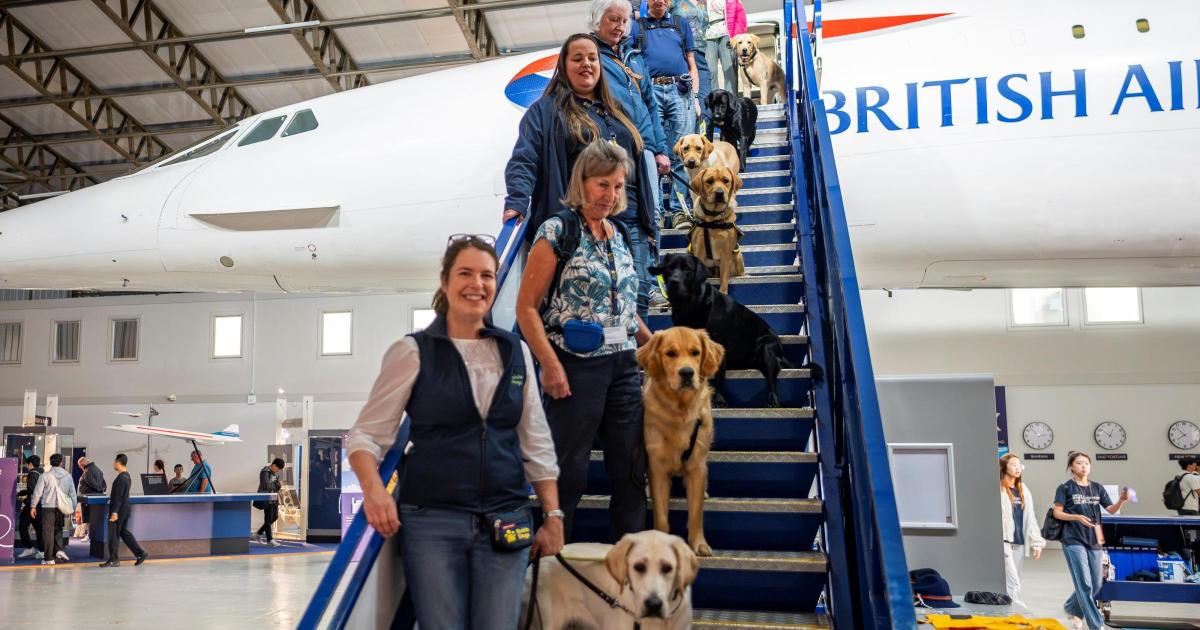 Guide dog puppies 'jet set for success' on Concorde training mission