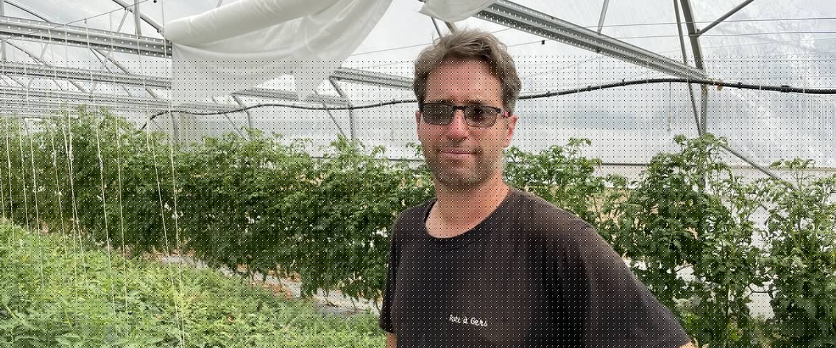 "J’ai déjà envisagé d’arrêter la production" : dans le Gers, les maraîchers voient leurs récoltes durement touchées par la canicule