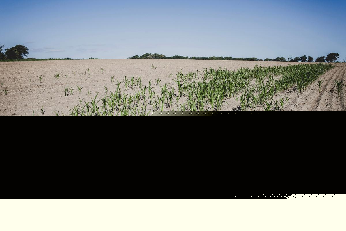 Deux tiers des nappes phréatiques en France sous les normales au 1er août 2026