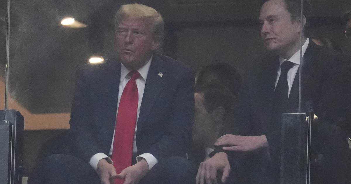 Elon Musk Has Big Plans for the Midterms
