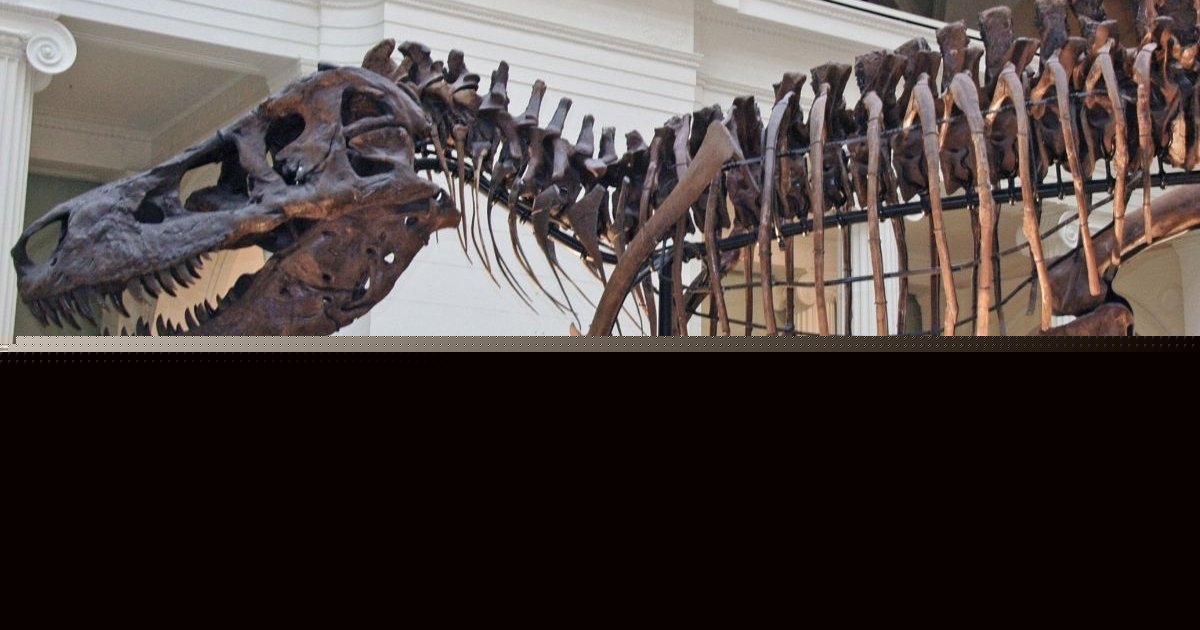 Did T. rex Really Leave These 66-Million-Year-Old Bite Marks? Scientists Say Fossils May Hold the Answer