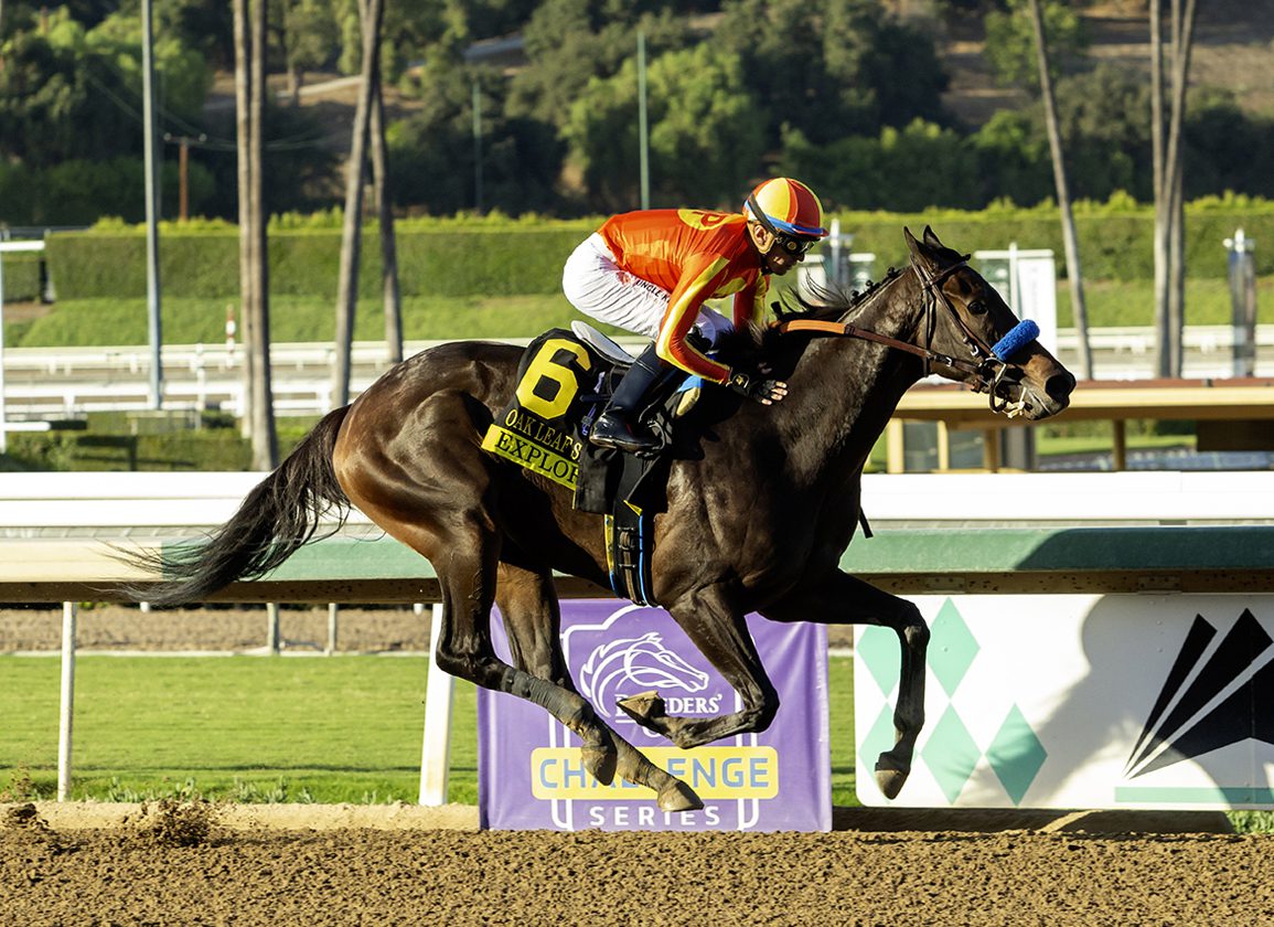 Blame ‘Rising Star’ Explora Rolls Home In the Oak Leaf