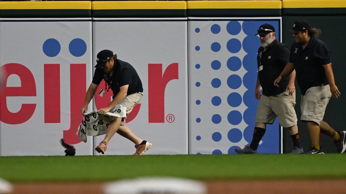 Leody Taveras Posts Hilarious IG Photo Being Chased By Squirrel After Chaos During Orioles' Win