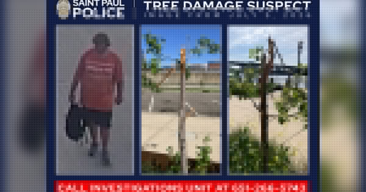Man who damaged 24 trees in St. Paul park sought by authorities