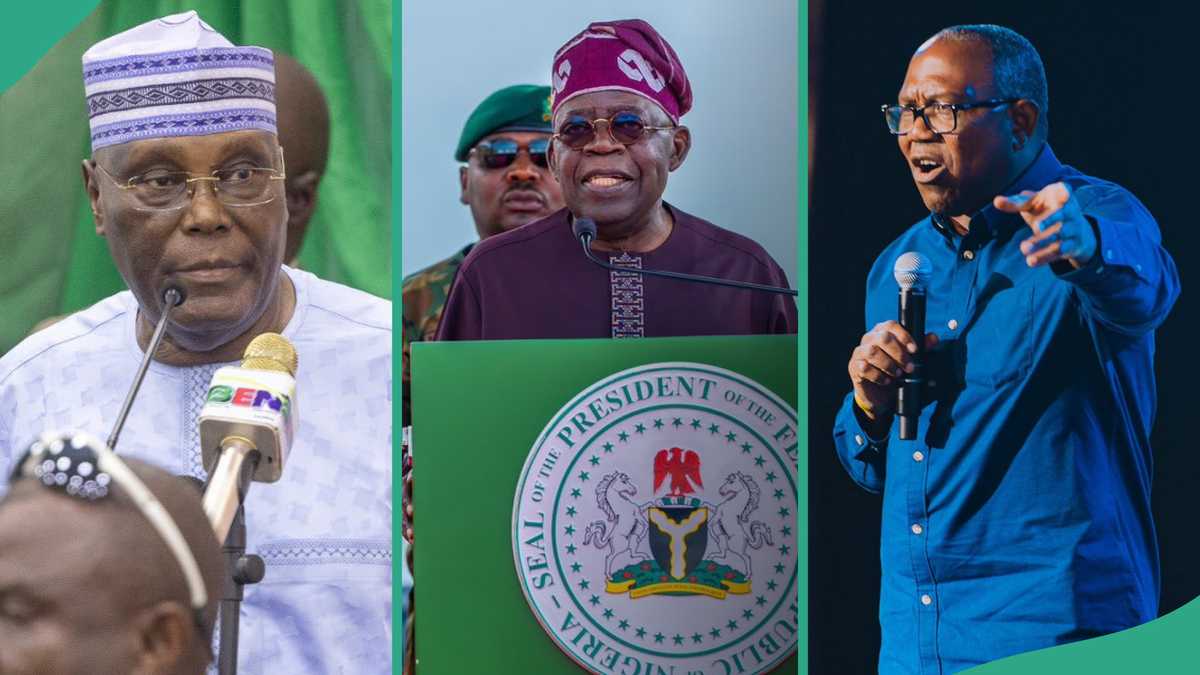 Jonathan, Atiku, Obi dragged as APC chieftain defends Tinubu's academic records