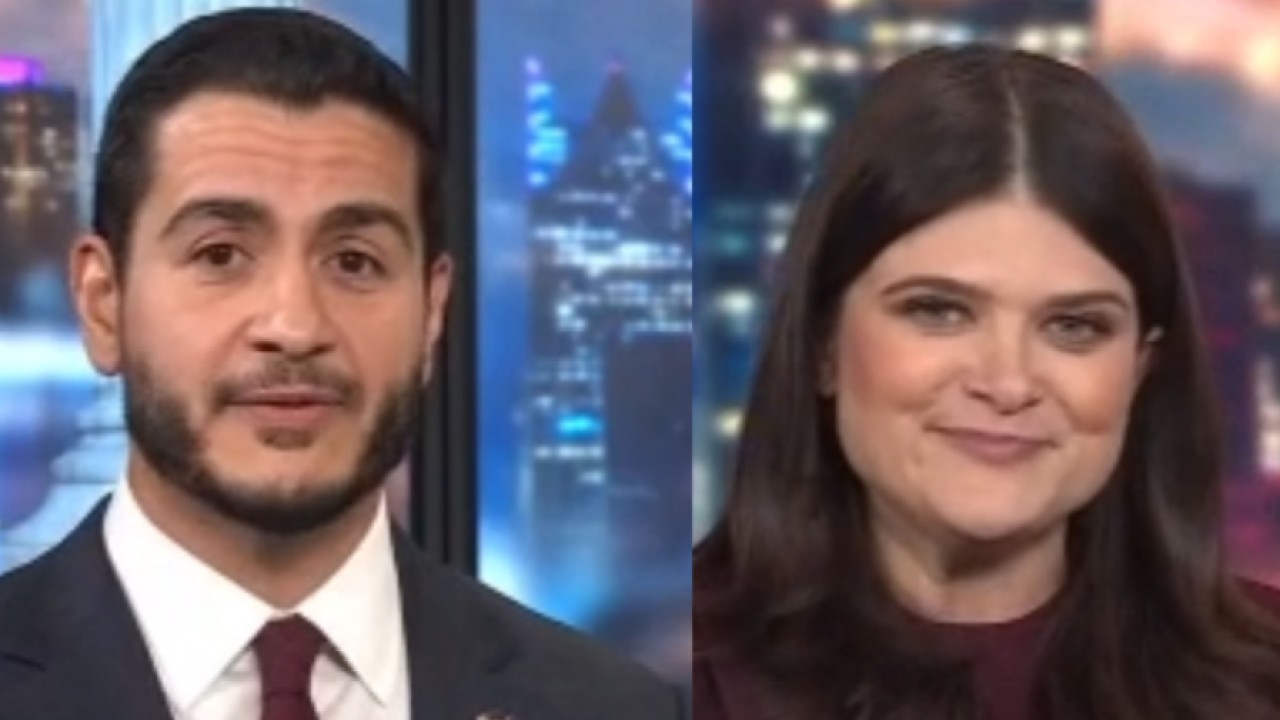 Michigan Senate primary: Where Stevens and El-Sayed stand on the issues