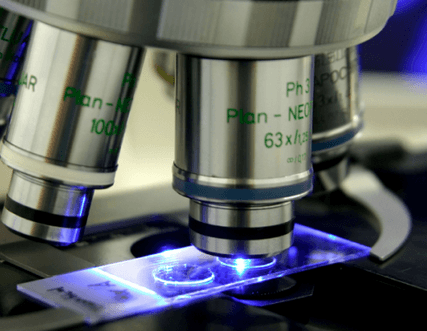 Africa surges ahead in genome editing adoption – Report