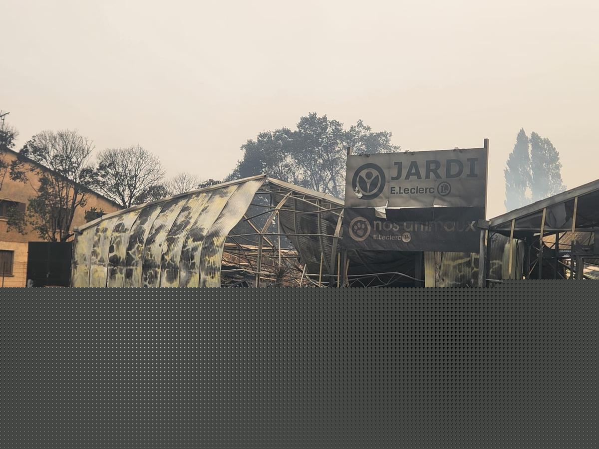Incendies en Gironde et dans les Landes : les cellules de crise pour les entreprises ouvertes, un numéro d’urgence des avocats pour les sinistrés