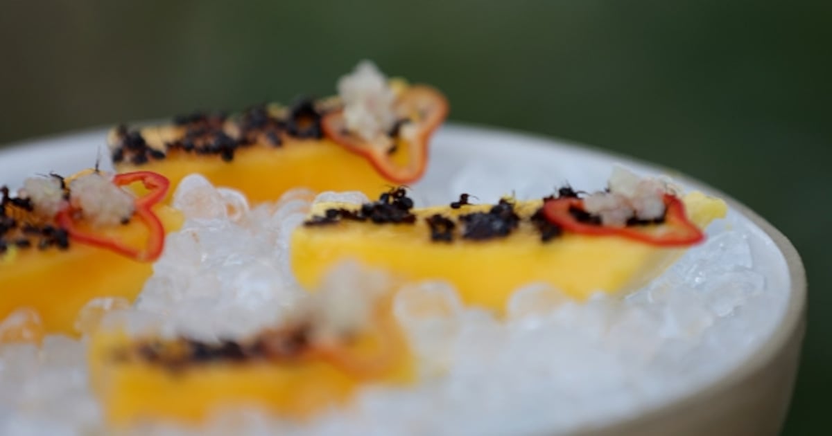Michelin-Starred Chef Busted Serving This to Customers