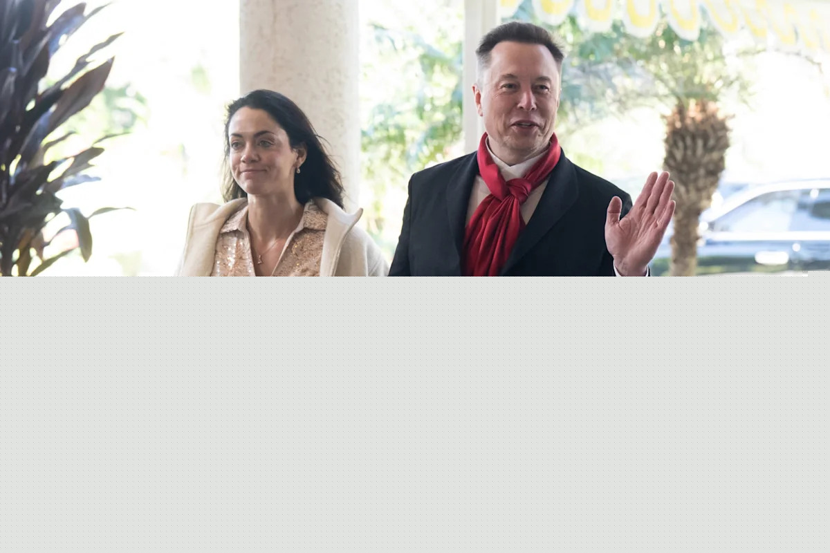 Elon Musk: I’m not racist – my partner is half Indian