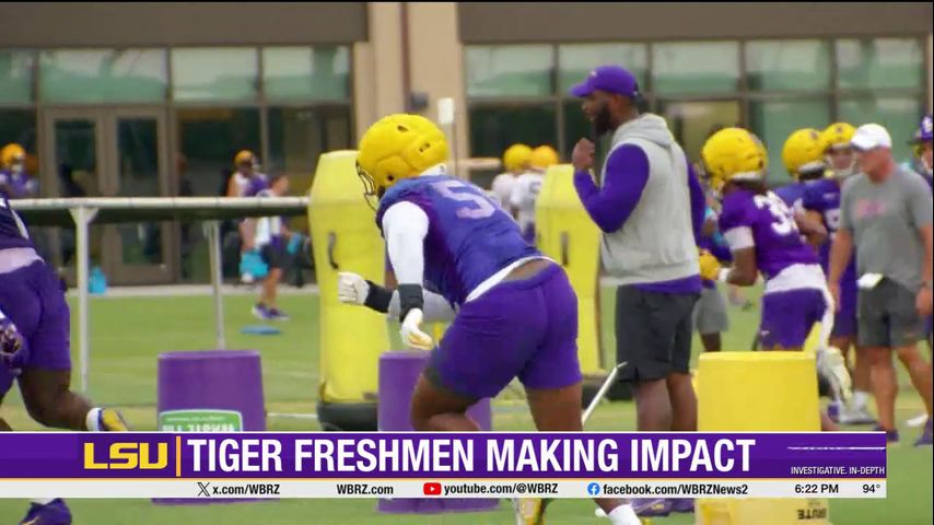 LSU freshmen shine along the defensive line