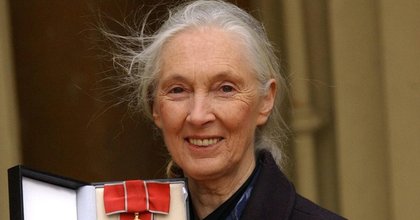 David Attenborough hails Jane Goodall as a ‘tireless advocate’ for chimpanzees