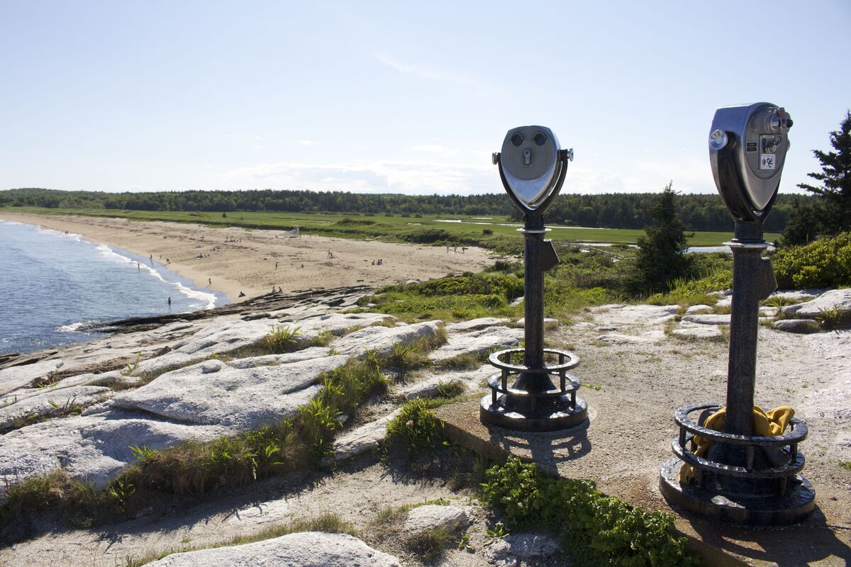 Maine state park closes beaches to swimmers after shark sightings