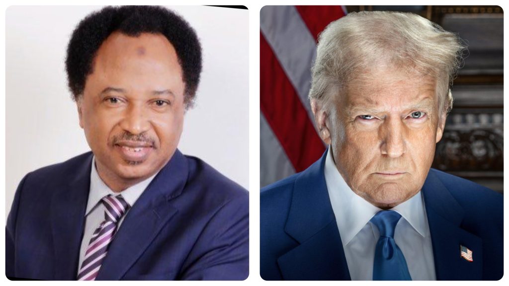 Comment on Trump is too busy to interfere in our elections – Shehu Sani by Vee