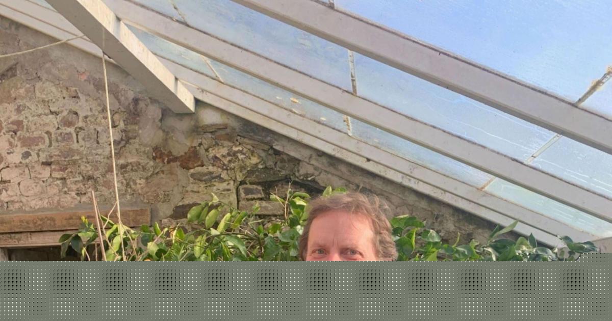 Historic Cornwall estate to host bat walk this summer