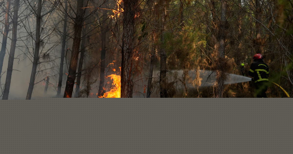 Décryptage. « Le danger repart à la hausse » : quelles conséquences peut avoir la canicule sur les incendies ?