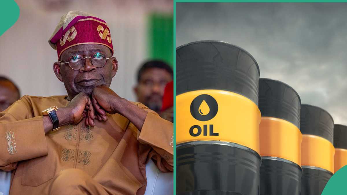 Find out more as FG announces 50 oil blocks for bidding in 2025 licensing round