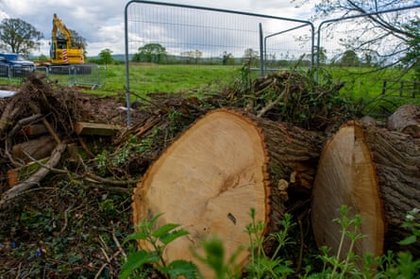 UK fifth-worst country in Europe for loss of green space to development