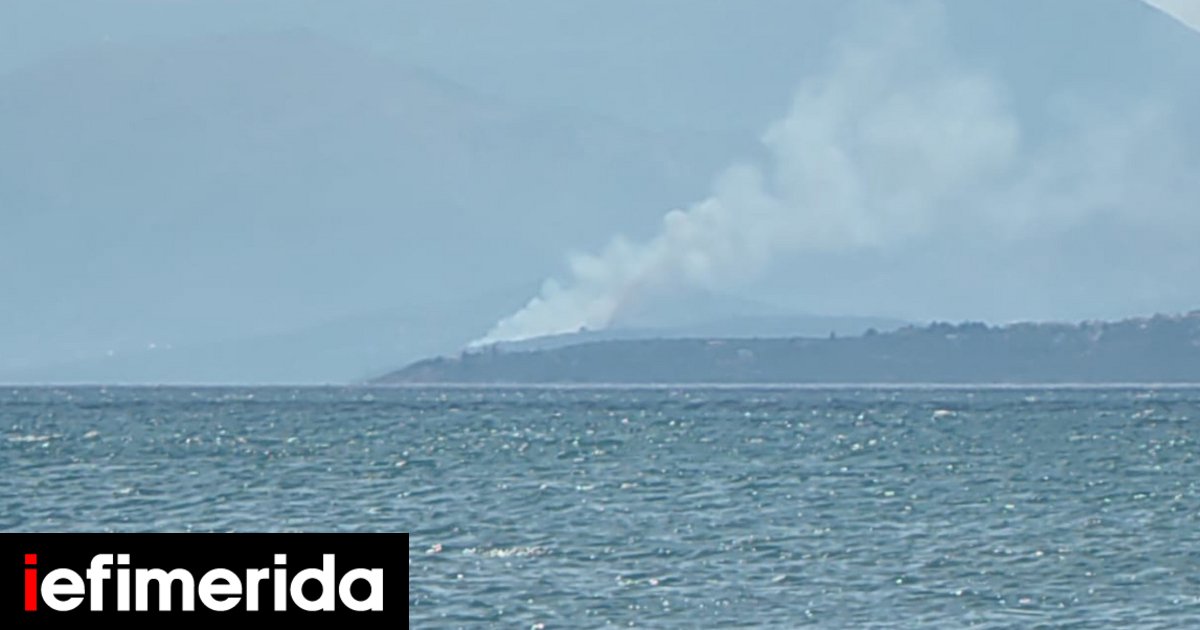 Ρέθυμνο: Φωτιά στην περιοχή Νέα Κρύα Βρύση - Ήχησε το 112