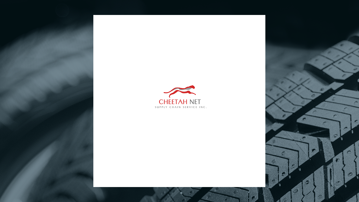Reviewing Cheetah Net Supply Chain Service (NASDAQ:CTNT) and Hub Group (NASDAQ:HUBG)