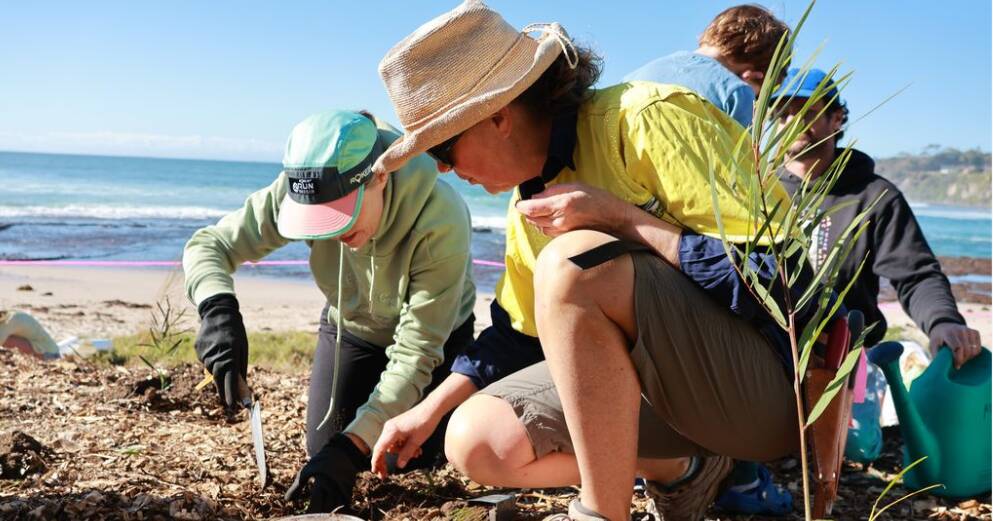 Power of community on full display at Mollymook's environmental awareness event