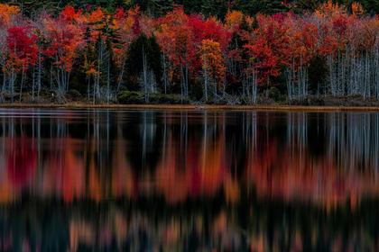 This Maine Park Boasts America’s Best Fall Foliage