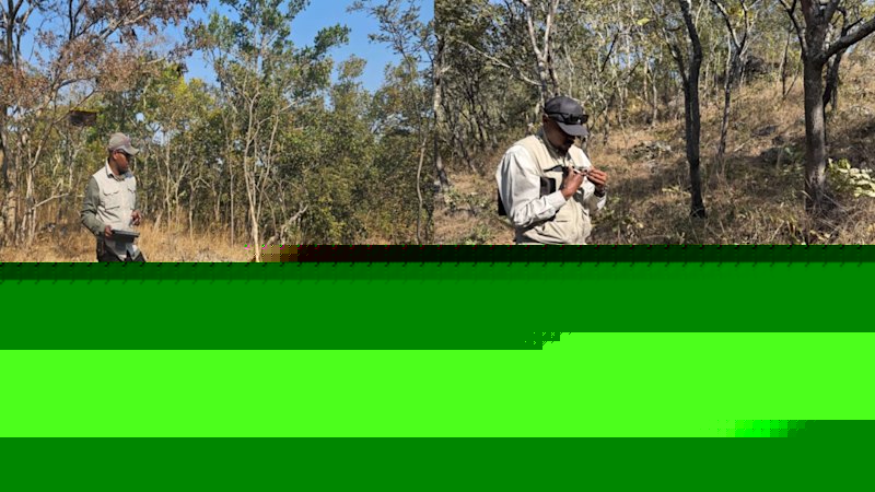 Patriot mapping hints at giant Zambian copper potential