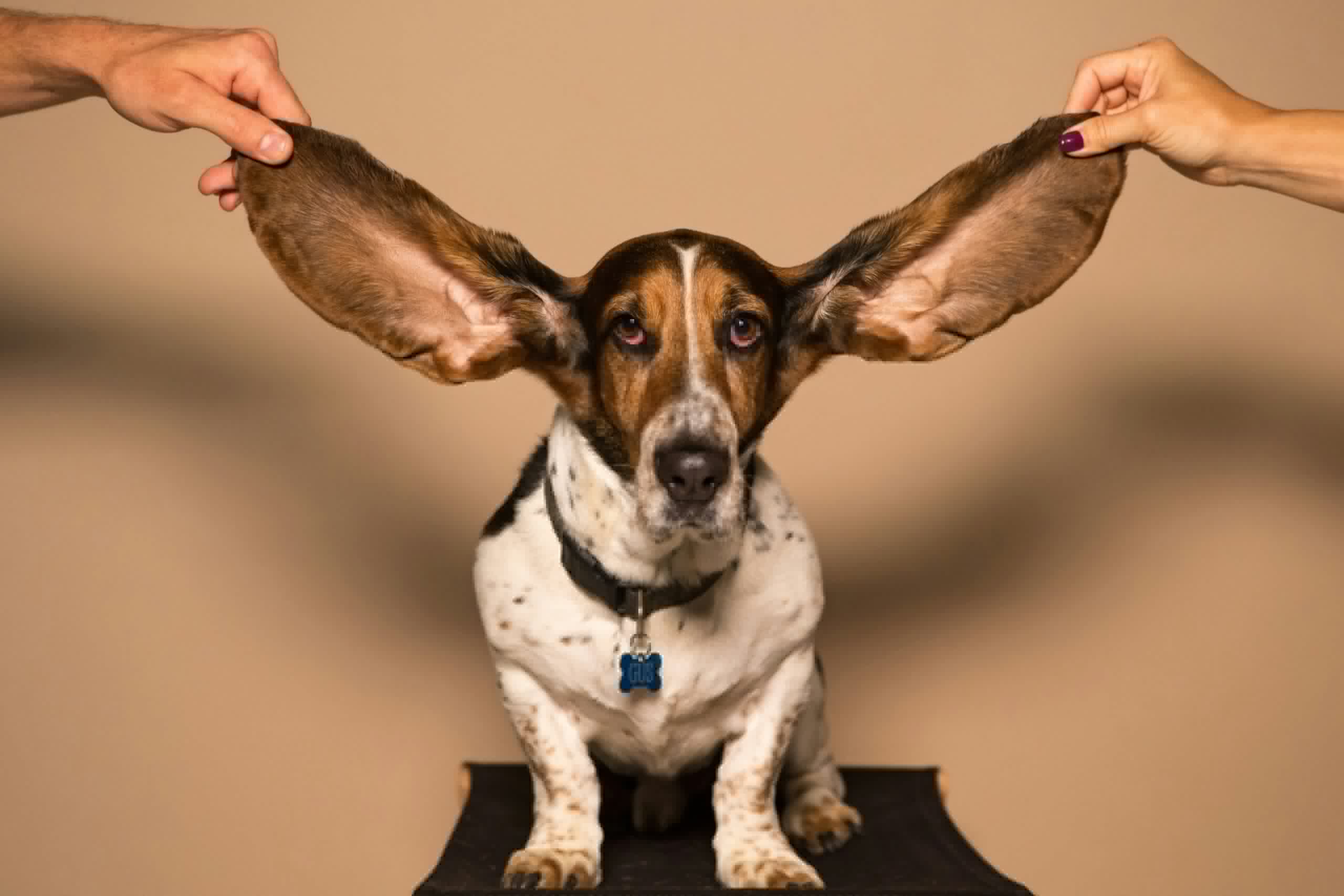 How Often Do You Clean Your Ears?