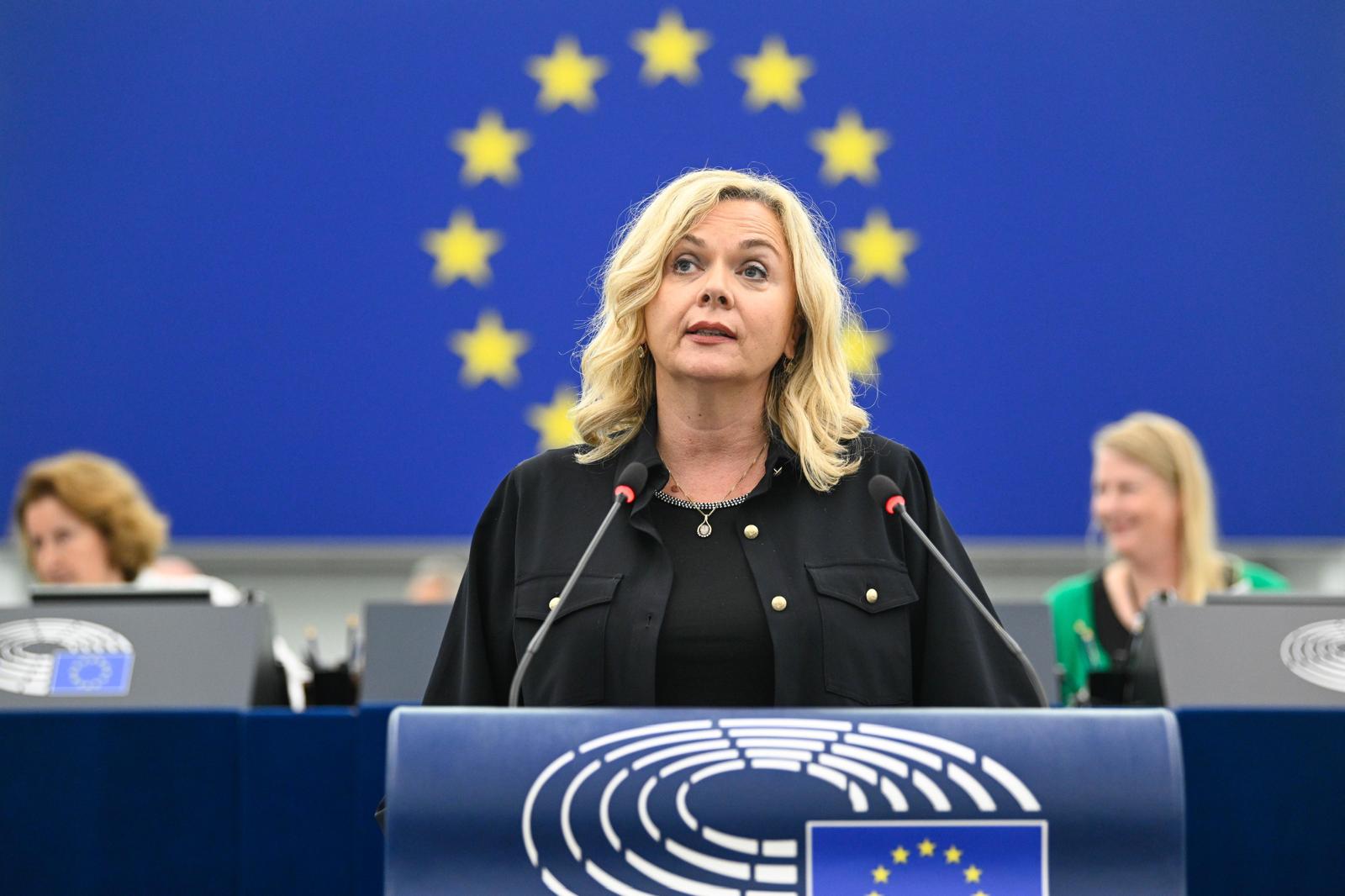 Europarlamentarci: Svaki euro iz Plana rasta mora pomoći, moguće je postići dogovore u BiH