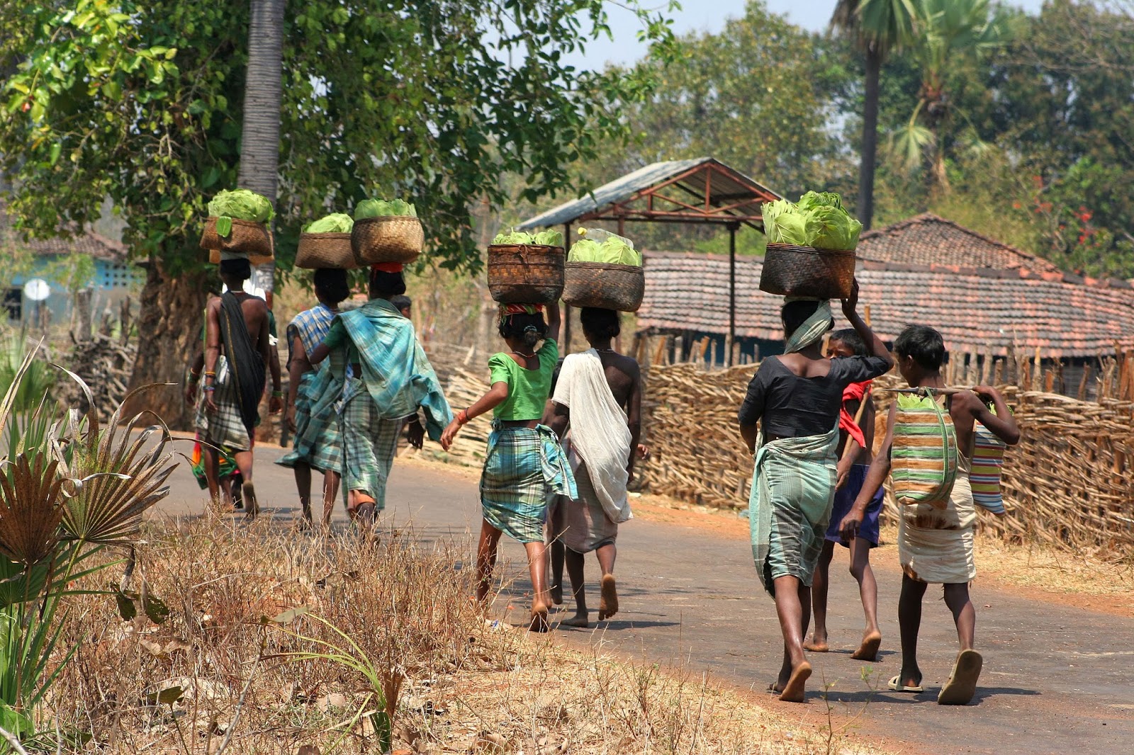 Two Faces Of Same Algorithm: Algorithmic Disparate Impact On India's Adivasi Communities