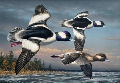Minnesota artist James Hautman wins 2025 Federal Duck Stamp Art Contest