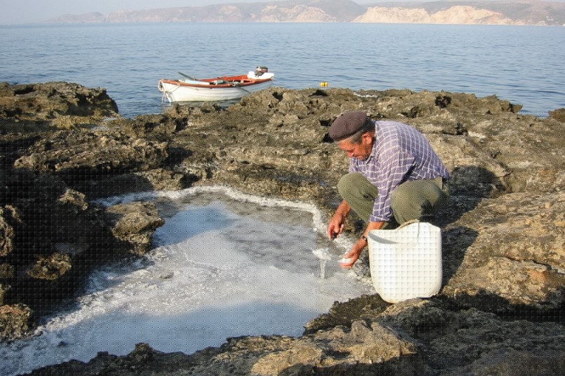 The Tiny Corner of the World That Banned Salt Gathering