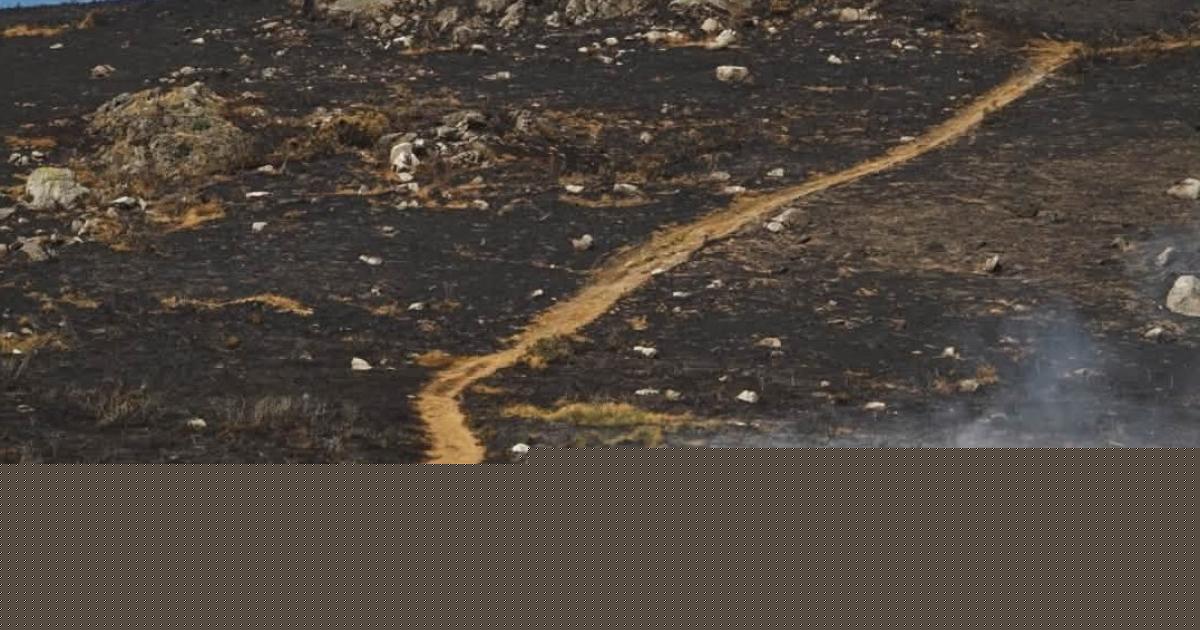 Pictures show scorched remains of hillside after wildfires