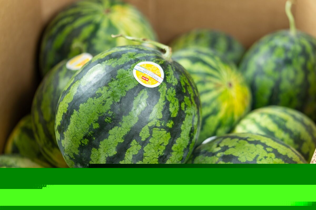 Lidl mizează pe România: Datorită parteneriatelor cu furnizorii locali, Lidl are la raft 100% pepeni românești și a facilitat, până acum, exporturi duble pe acest produs, față de anul trecut