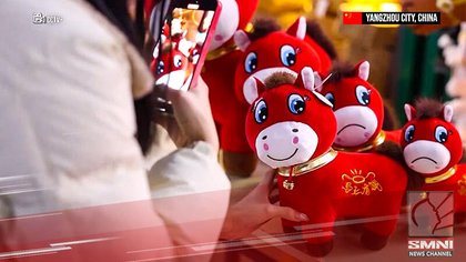 Factory mistake turns ‘sad horse’ plush into China’s latest viral sensation